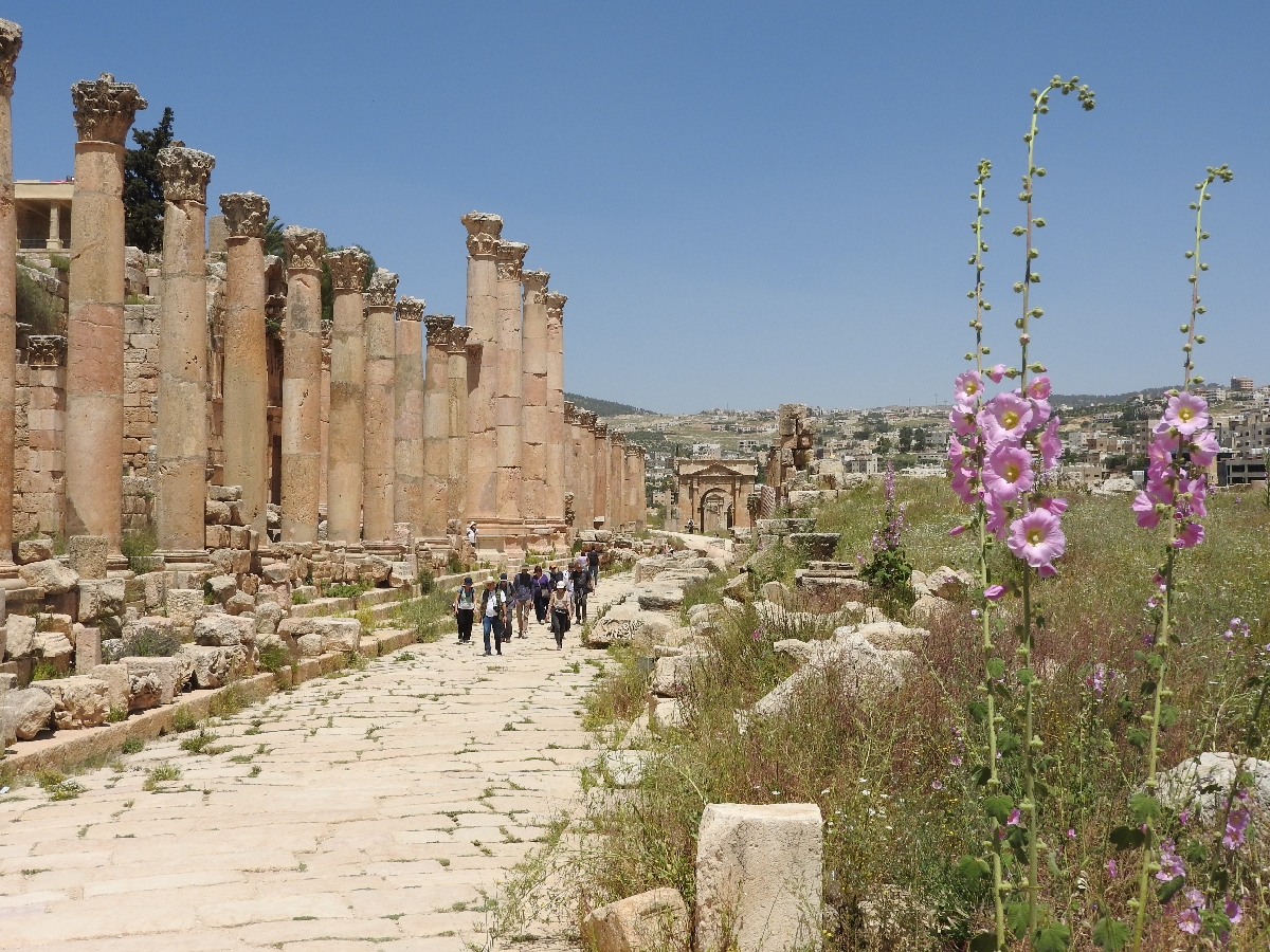 12 Jerash